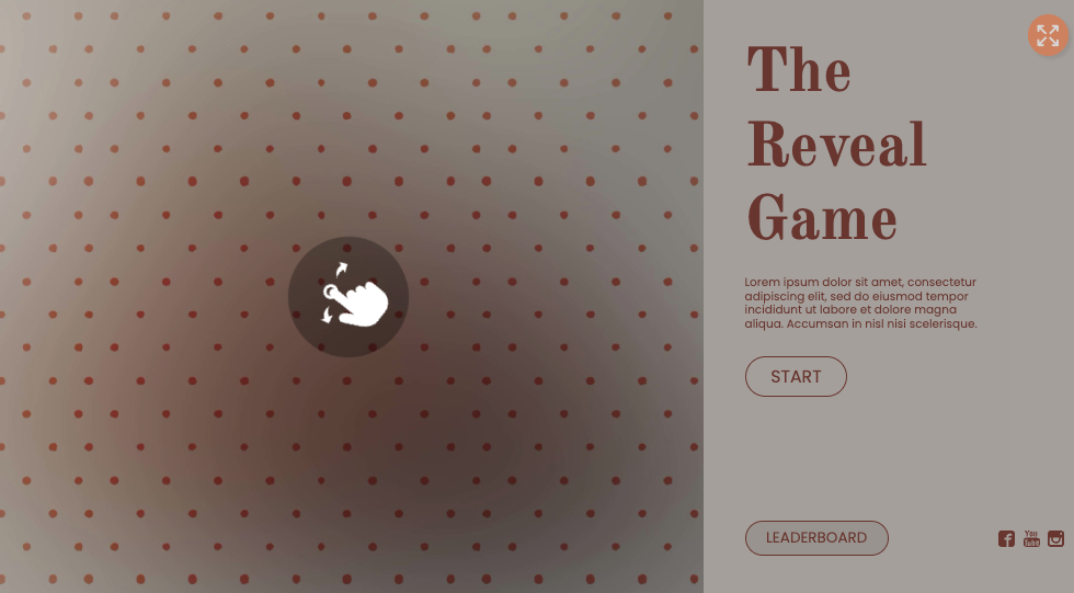 Reveal Guessing Game
